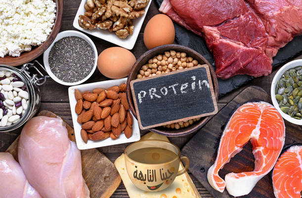 تعرف على وصفة رجيم البروتين السريع لانقاص الوزن والتنحيف الناجح