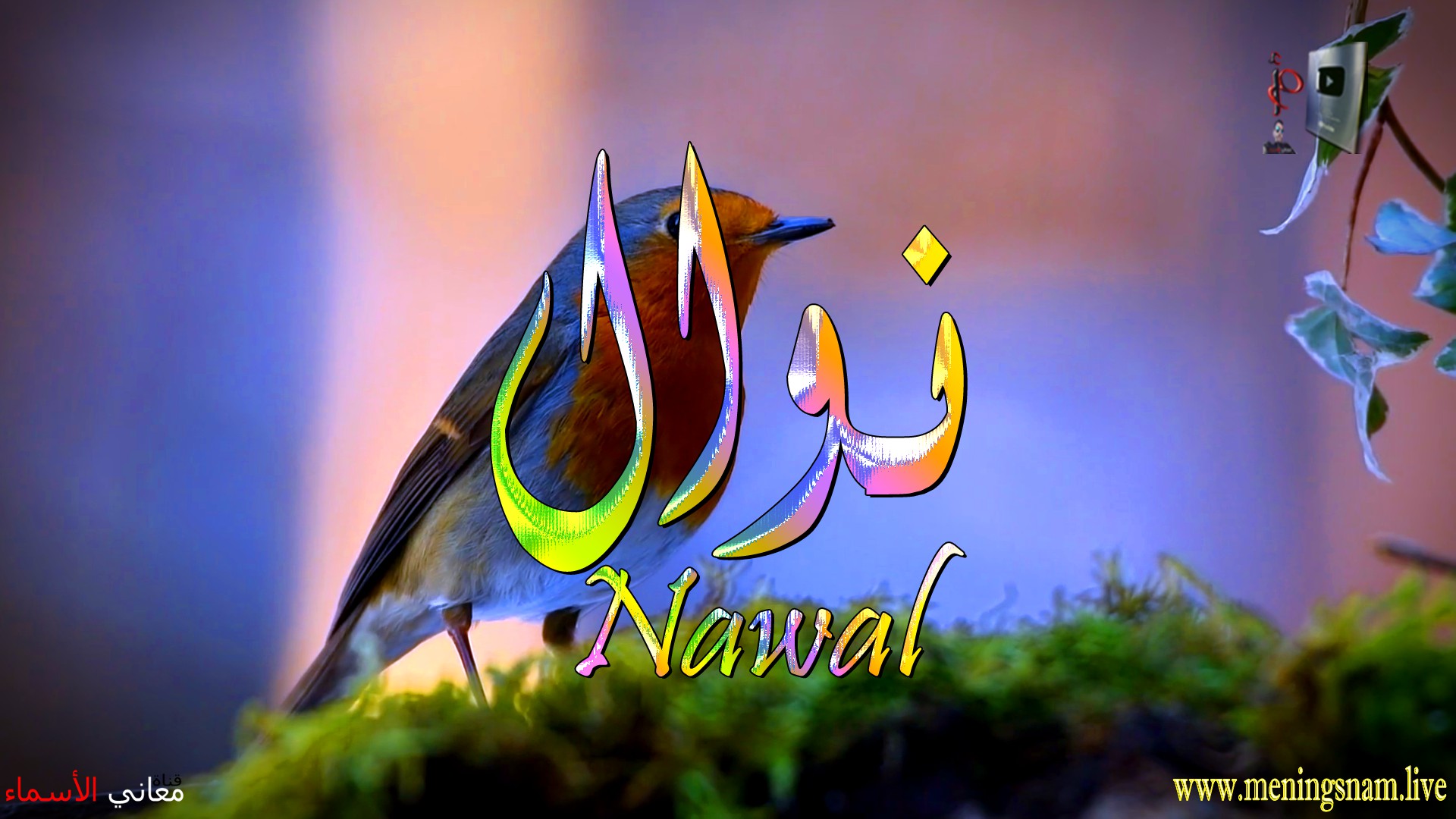 معنى اسم, نوال, وصفات, حاملة, هذا الاسم, Nawal,