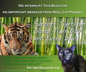 Paisley says: Support Tigers on Global Tiger Day (7/29)!