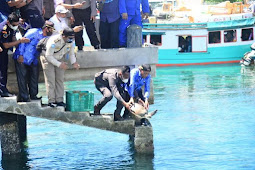 Sofyan Kaepa Lepasliarkan 4 Penyu Hijau di Dermaga Banggai Tobing