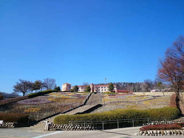 笛吹川フルーツ公園