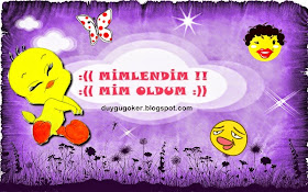 MİMLENDİM