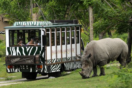 wisata bali Taman Safari Marine Park