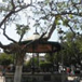 View album