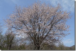 P1020724