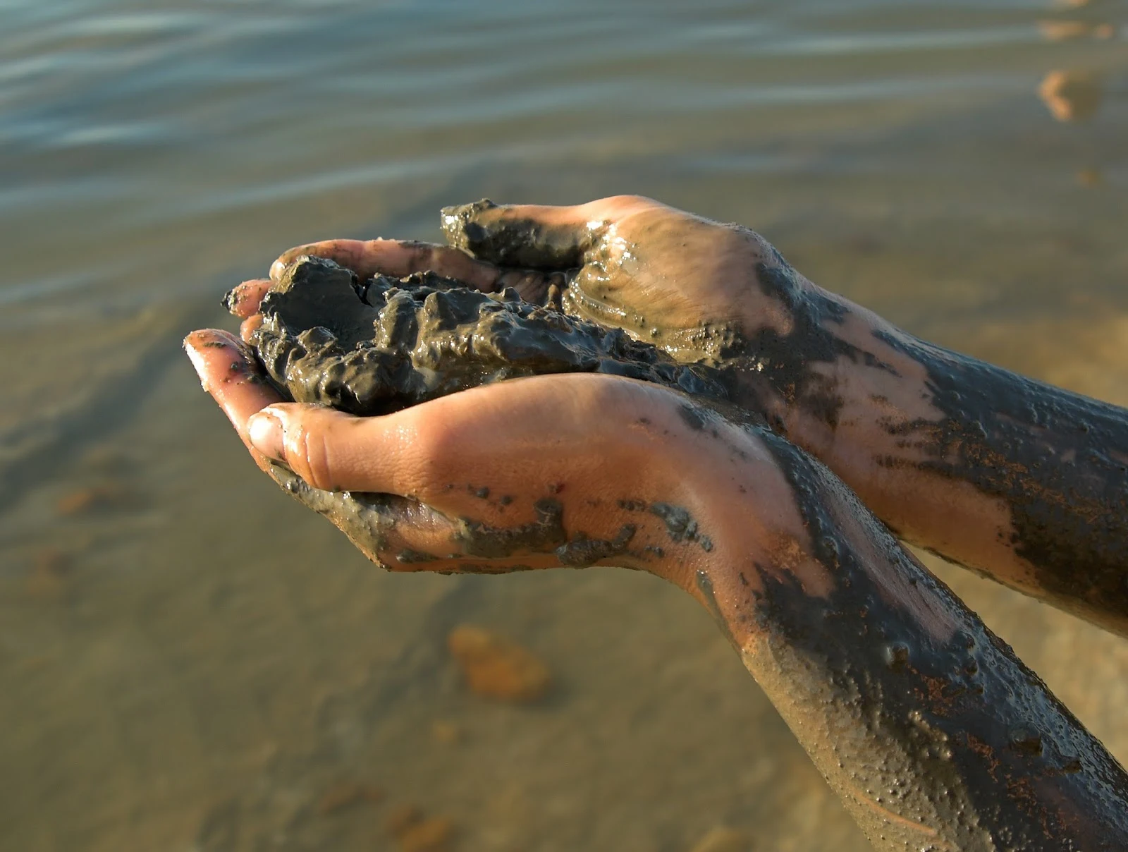 Sky Organics Dead Sea Mud Mask Sourced from Israel  via  www.productreviewmom.com