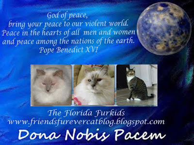 http://friendsfurevercatblog.blogspot.com/2015/11/dona-nobis-pacem-blogblast-for-peace.html