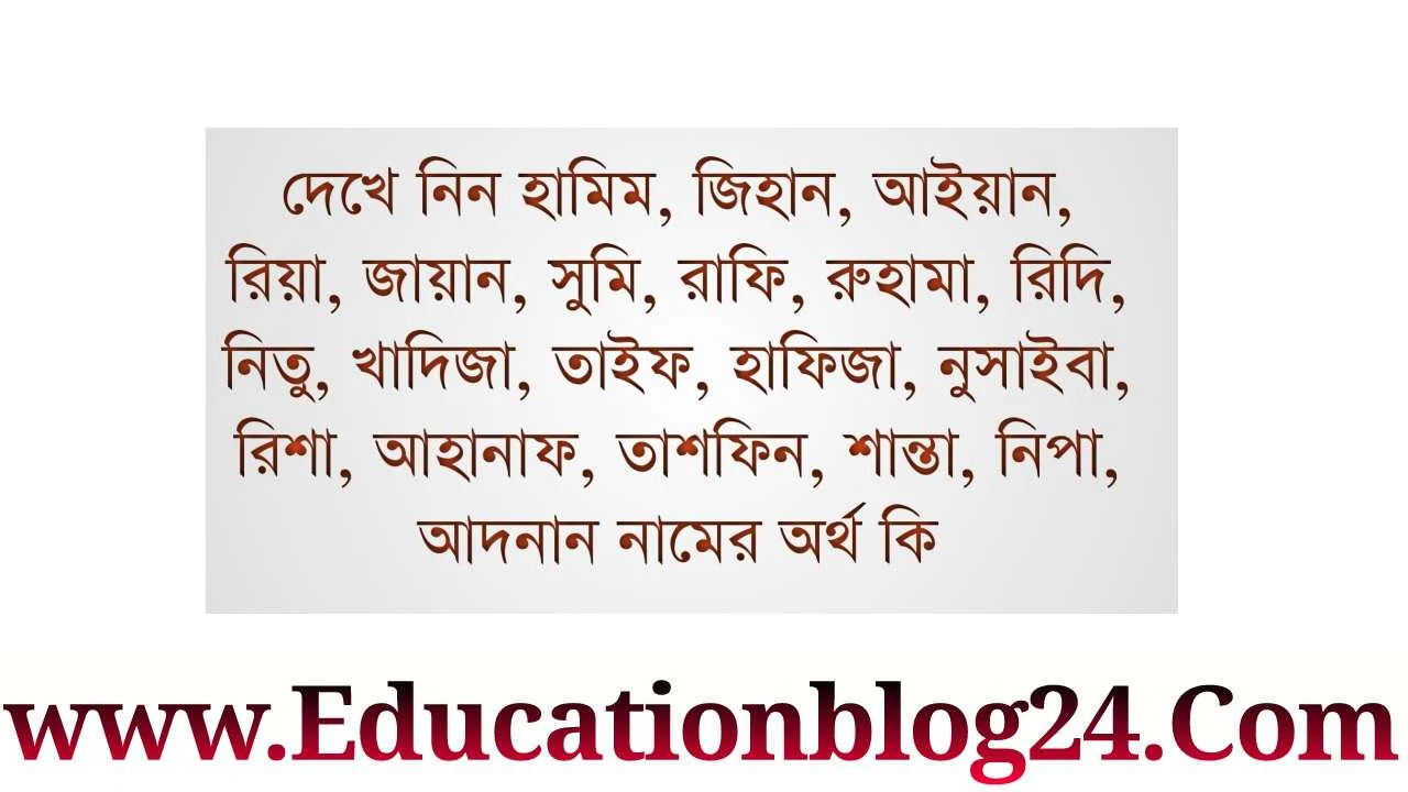 হামিম, জিহান, আইয়ান, রিয়া, জায়ান, সুমি, রাফি, রুহামা, রিদি, নিতু, খাদিজা, তাইফ, হাফিজা, নুসাইবা, রিশা, আহানাফ, তাশফিন, শান্তা, নিপা, আদনান নামের অর্থ কি জেনে নিন