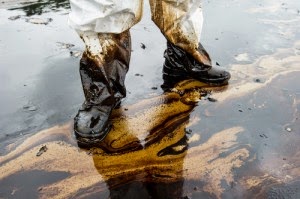 http://response.restoration.noaa.gov/oil-and-chemical-spills/oil-spills/how-oil-harms-animals-and-plants.html