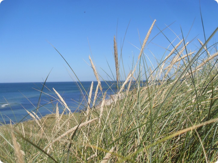 Ved Hirtshals Fyr