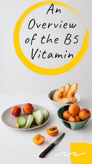 An Overview of the B5 Vitamin