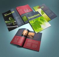 Brochure Template Indesign5