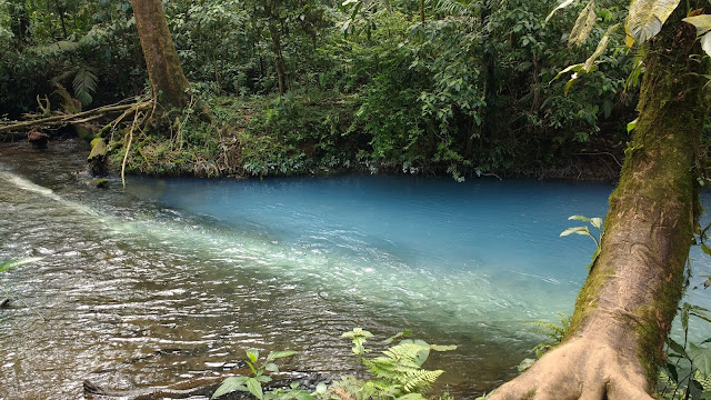 Los Teñideros