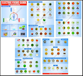 https://www.etsy.com/listing/249637978/electric-foods-infographic-guide