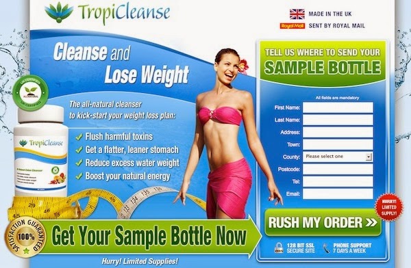  TropiCleanse French Landing Page