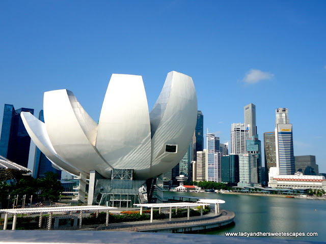 view from the Helix Bridge