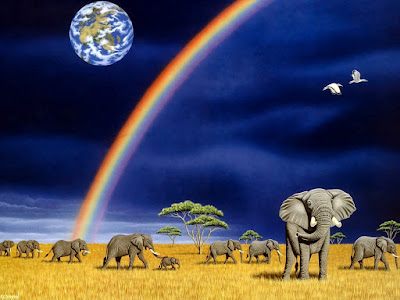 fotografía de elefantes con arcoiris