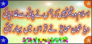 Islamic, Image Poetry, Picture Poetry, Photo Poetry, Islamic Short Poetry, Islamic Urdu Poetry, Islam Poetry, Urdu Islamic Poetry, Urdu Islam Poetry