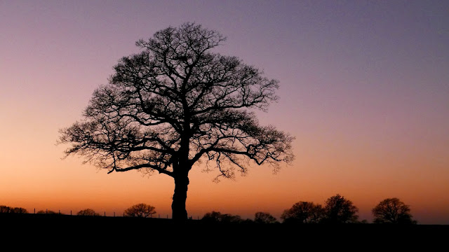 British sunset