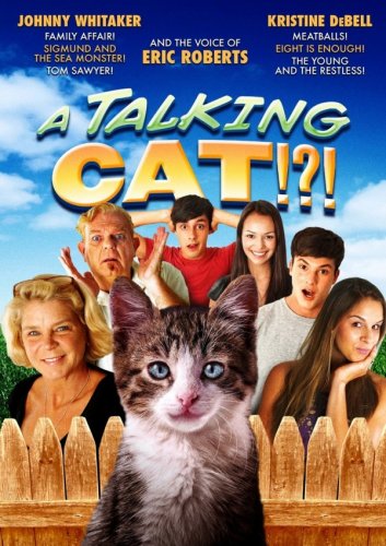 A Talking Cat 2013