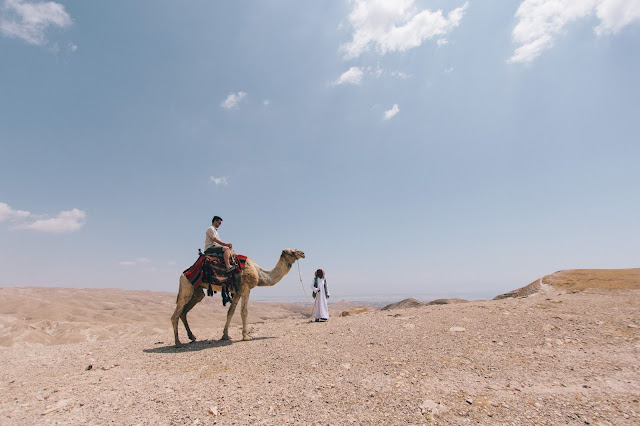 camelos em Jerusalém