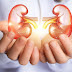 망가지면 다시는 복구 안되는 신장(콩팥)을 지키는 방법  How to keep your kidneys healthy