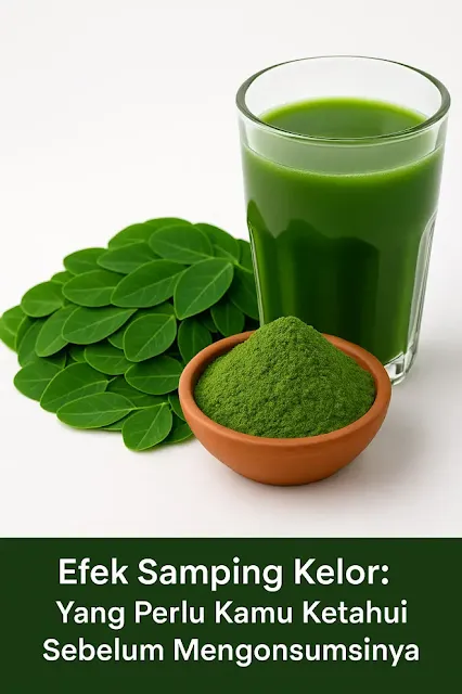 Efek Samping Kelor: Yang Perlu Kamu Ketahui Sebelum Mengonsumsinya