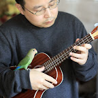 KOYAMA KYM-C12 bird.jpg