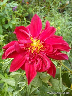 sony_ericsson_xperia_mini_pro_camera_samples_18