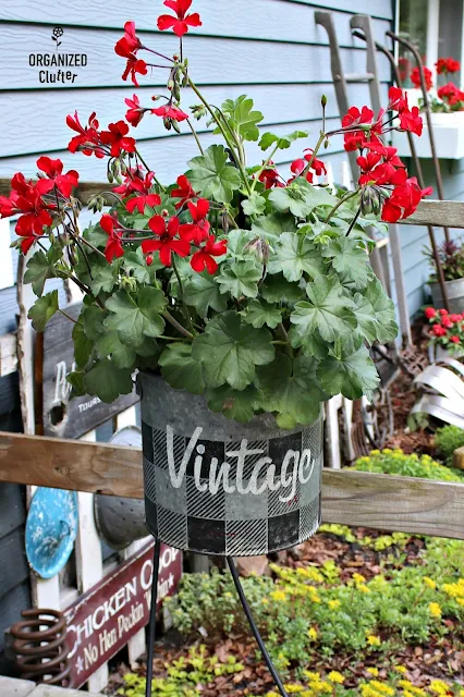 Old Sign Stencils Buffalo Check Minnow Bucket Planter organizedclutter.net