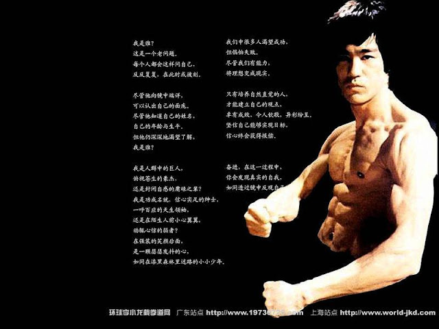 bruce lee wallpapers. Bruce Lee Wallpaper Hd. Bruce