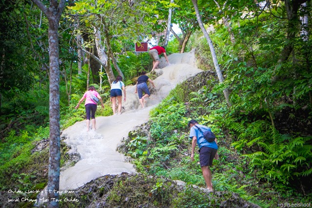 Bua Tong “Sticky” Waterfall at Chiang Mai