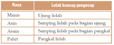 Pengertian Bagian-Bagin Serta Fungsi Lidah dan Kulit Manusia