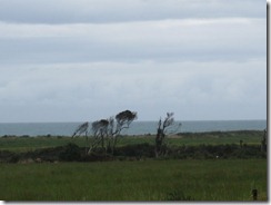 1163 Going to Hokitika