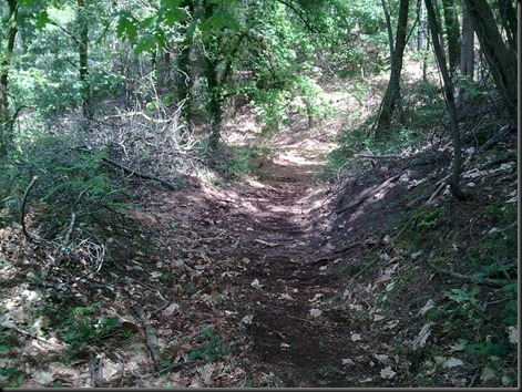 Imagem013