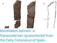 http://sciencythoughts.blogspot.co.uk/2015/12/morelladon-beltrani-styracosternan.html