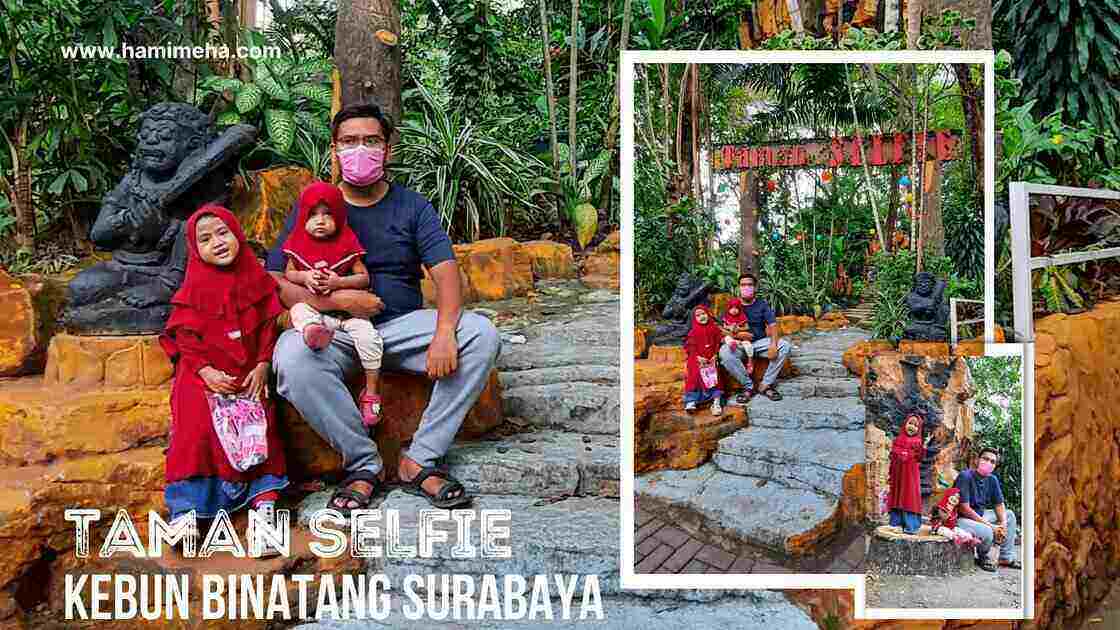 Taman selfie kebun binatang surabaya