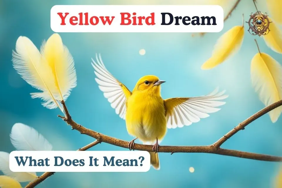 Seeing A Yellow Bird Dream Meaning