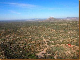 P2181646