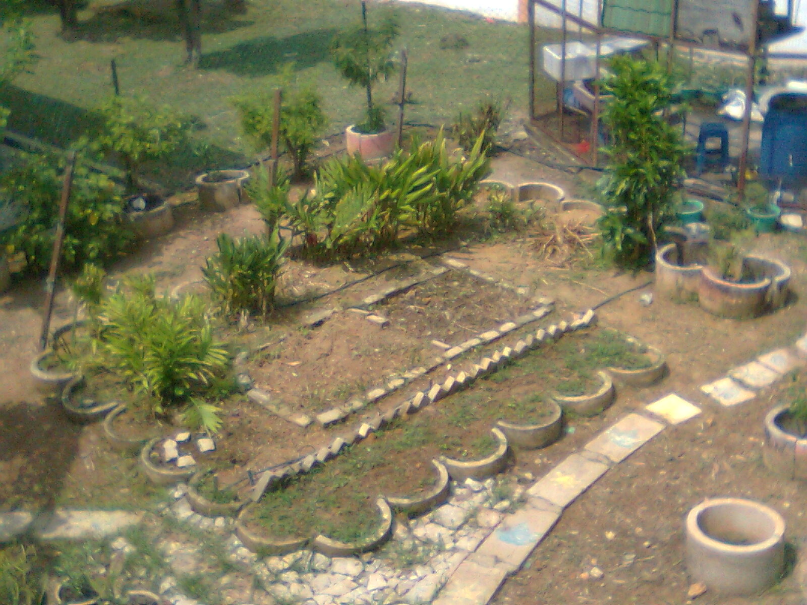 Taman Herba SMK Sungai Besar