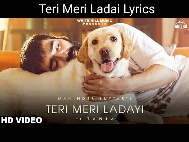 teri-meri-ladai