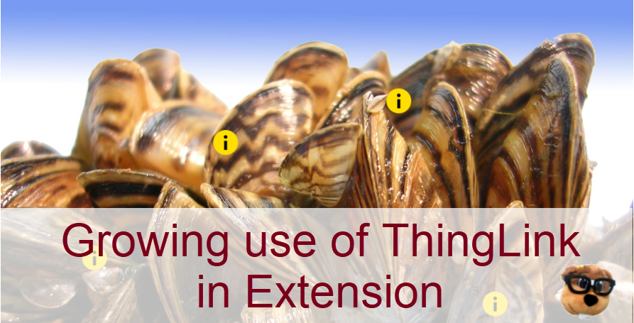 Growing use of ThingLink in Extension