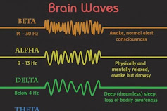 Tìm hiểu về Biểu đồ các loại sóng não: Alpha, Beta, Delta, Theta, Gamma