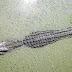Corpo de pescador desaparecido é encontrado dentro de crocodilo gigante; confira