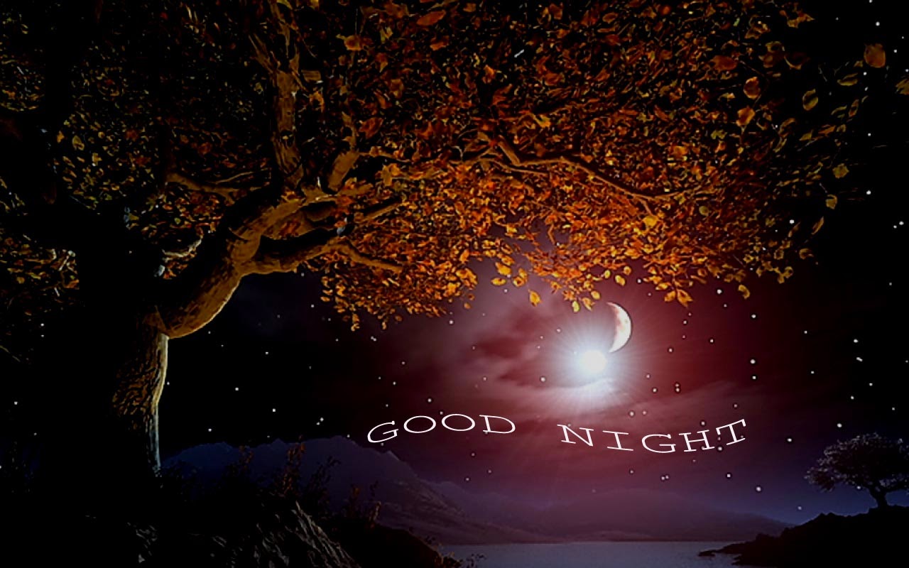 : Good night hd wallpapers, Good night wallpaper free download, Good ...