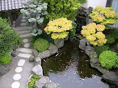 #5 Garden Design Ideas