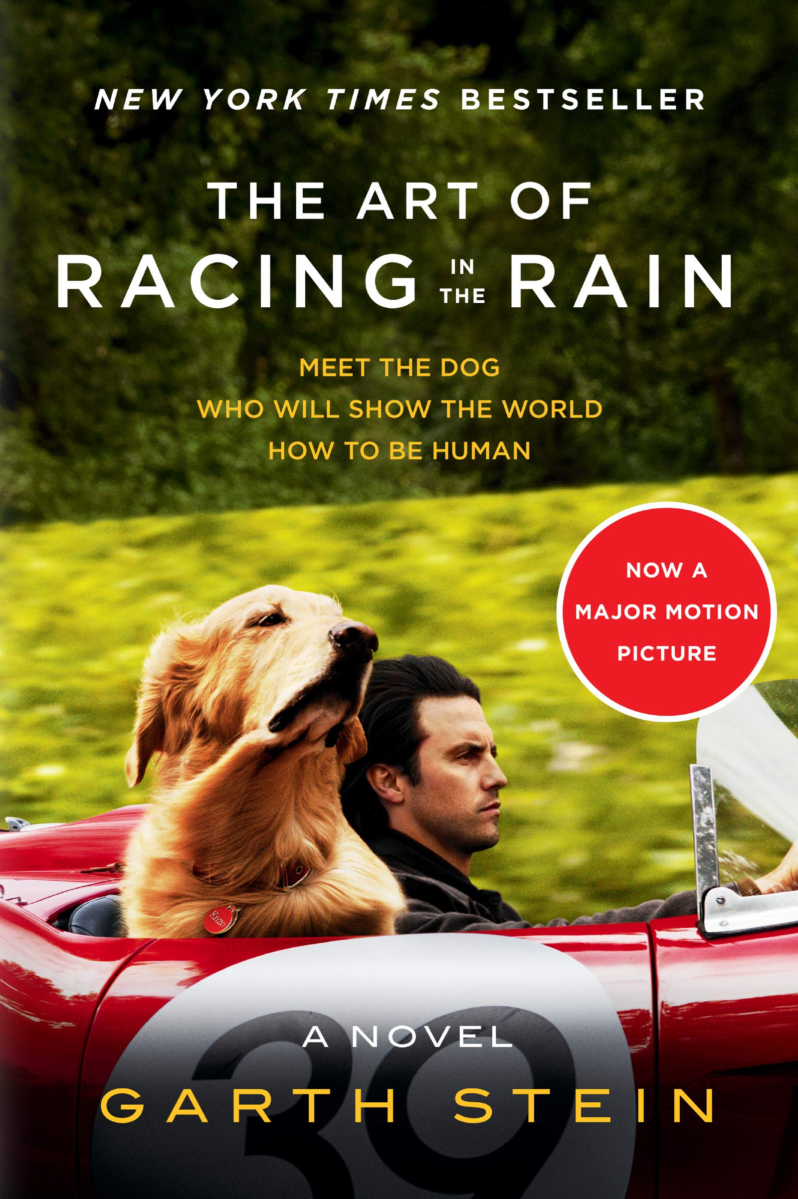 The Art of Racing in the Rain, a novel by Garth Stein