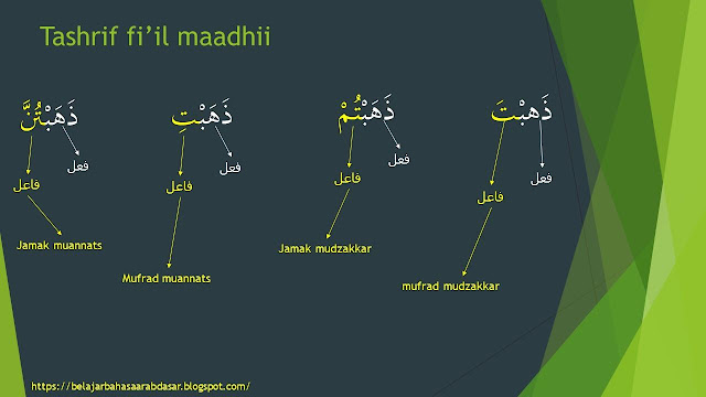 pola fi'il maadhi untuk fa'il anta antum anti antunna