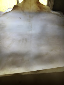 a whole vellum skin