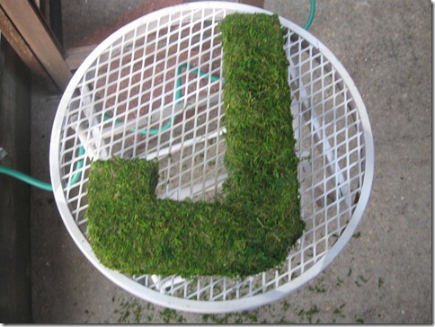 moss letter 024